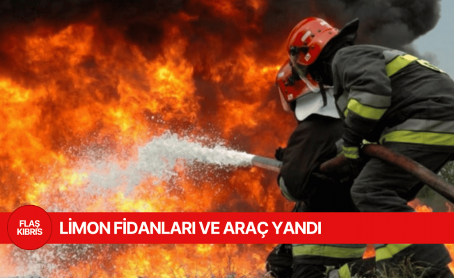 Lefke ve İskele’de yangın