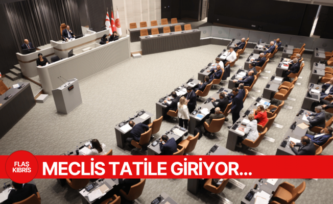 Yasama ve denetim görevi birleştirildi