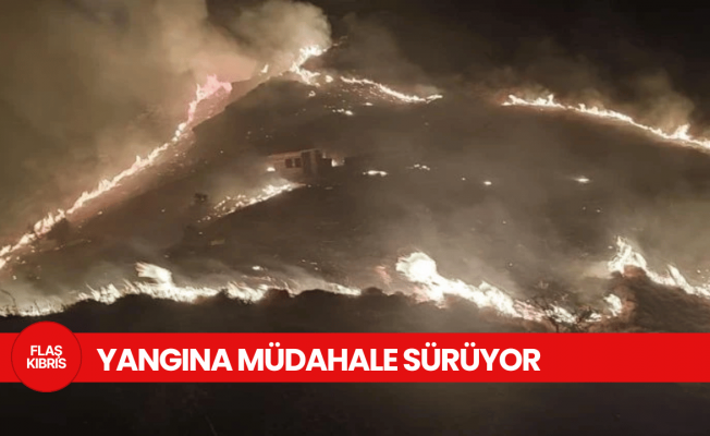 Marmara Adası'nda orman yangını
