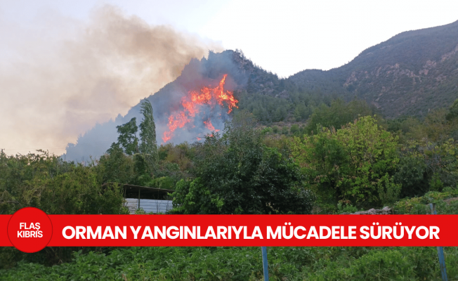 Mersin’in Silifke ve Anamur ilçelerindeki orman yangınlarına müdahale sürüyor