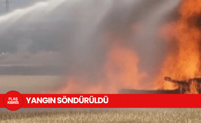 Tuzla’da meydana gelen tarla yangında 23 fidan ve bitki zarar gördü