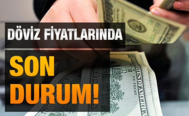 Günün döviz kurları