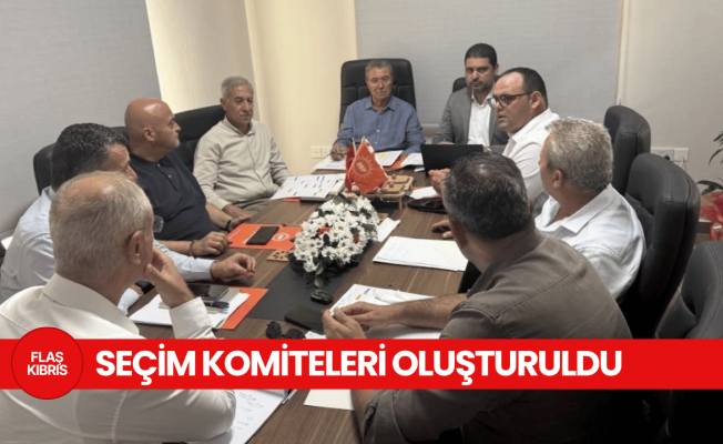UBP Seçim Komiteleri oluşturuldu
