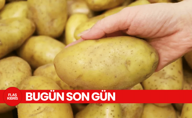 Genel Tarım Fonu: Ekilen patates arazilerinin beyan edilmesi için bugün son gün!
