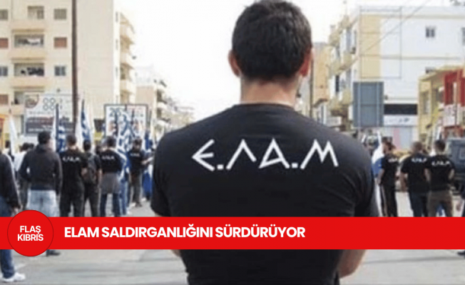 Güney Kıbrıs'ta, "İlerici Öğrenciler Hareketi" masasına ELAM saldırısı