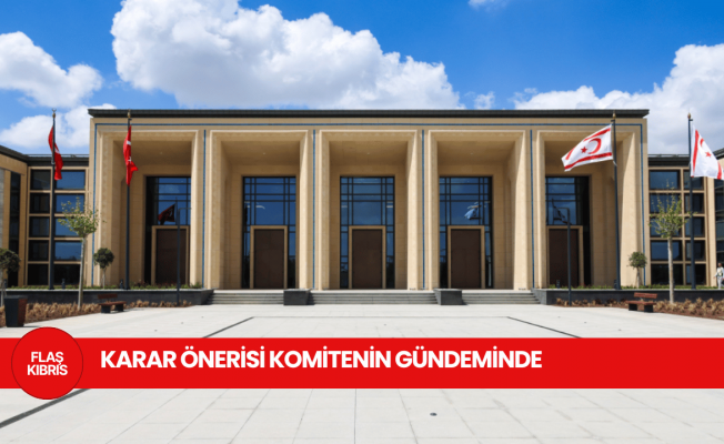 “Kıbrıs Sorununa İki Devletli Çözüm Konusunda Karar Önerisi” komitenin gündeminde