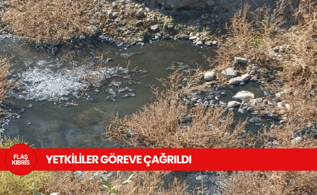 Lefke Çevre ve Ekoloji Derneği, Gemikonağı'ndaki kanalizasyon suları nedeniyle yetkilileri göreve çağırdı