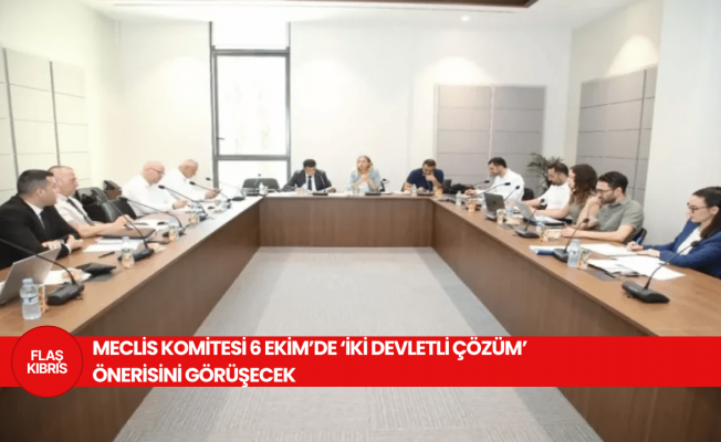Meclis Komitesi, 6 Ekim’de “Kıbrıs sorununa iki devletli çözüm” karar önerisini görüşecek