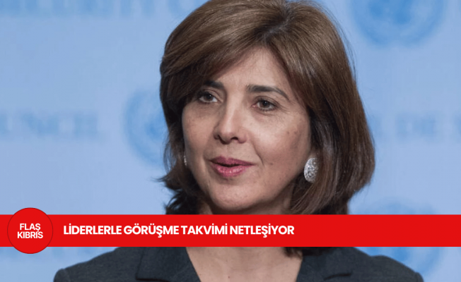 BM Temsilcisi Holguin Aralık’ta ada’da