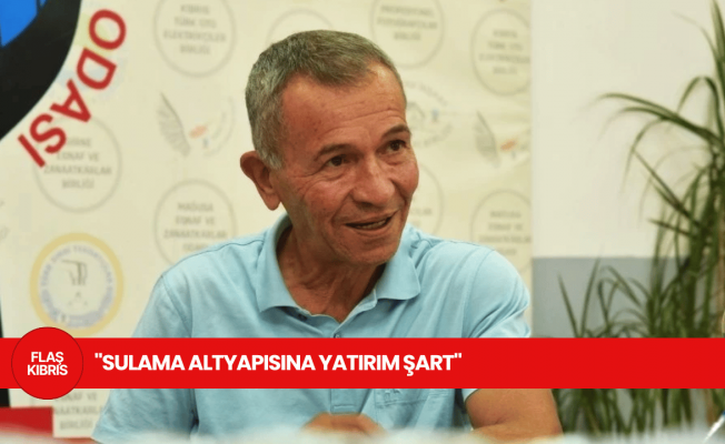 Hürrem Tulga: Zeytin yağı ihracı için rekabet gücü düşük, mekanizasyon ve sulamaya yatırım şart