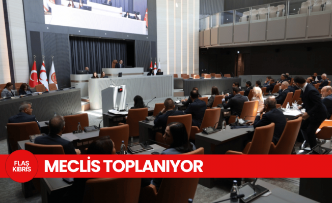 Meclis Genel Kurulu yasama ve denetim gündemiyle toplanıyor