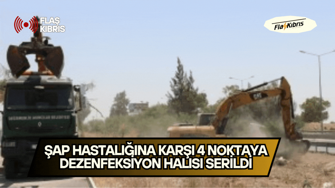 Değirmenlik Akıncılar Belediyesi: Şap hastalığına karşı 4 noktaya dezenfeksiyon halısı serildi