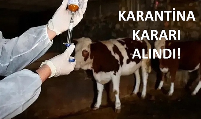 Atlılar'da şap hastalığı tespit edildi