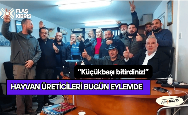 Hayvan Üreticileri bugün Tarım ve Doğal Kaynaklar Bakanlığı önünde eylem yapacak