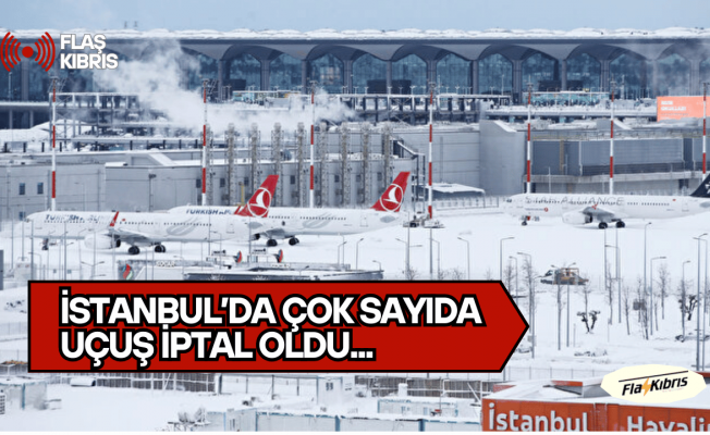 Türk Hava Yolları,  AJet ve Pegasus çok sayıda seferin iptal edildiğini duyurdu