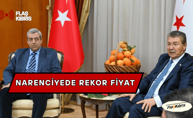 Cypfruvex Valanciya portakalın tonunu 19 bin TL’ye kadar satın alacak