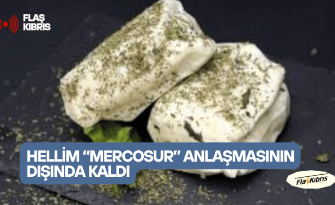 Hellim “Mercosur” anlaşmasının dışında kaldı