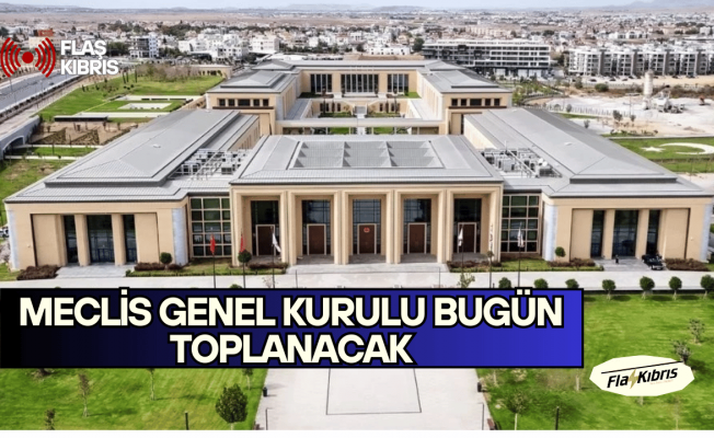 Meclis, denetim göreviyle toplanacak