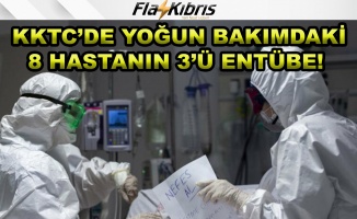 Yoğun bakımda tedavi gören 8 hastadan, 3'ü entübe