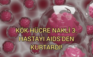 Lösemi tedavisi için yapılan kök hücre nakli 3. hastayı da AIDS'ten kurtardı