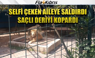 Selfie çekmek için kafese giren aileye aslan saldırdı