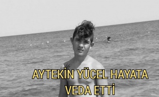 Trafiĝe bir can daha