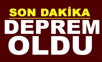 Erzurum'da 4,5 büyüklüğünde deprem