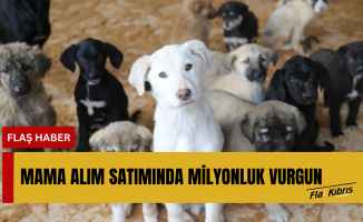 Hayvanseverlerden toplanan 18 milyon lirayı sahte faturayla şahsi hesaplarına aktarmışlar