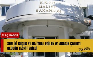 Son iki buçuk yılda ithal edilen 61 aracın çalıntı olduğu tespit edildi
