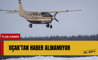 10 kişiyi taşıyan uçak Alaska üzerinde kayboldu