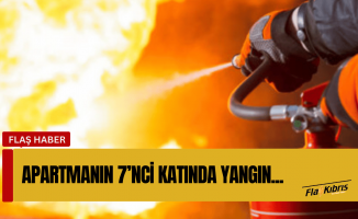 4 köpek, 2 kedi yaralandı