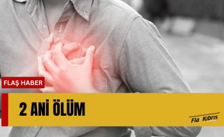 Bir günde 2 ani ölüm