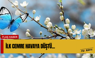 İlk cemre havaya düştü