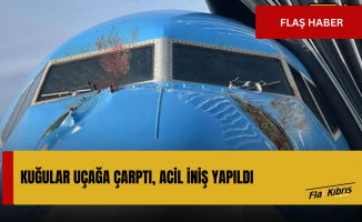 Kuğular uçağa çarptı, acil iniş yapıldı