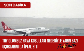 THY olumsuz hava koşulları nedeniyle yarın bazı uçuşlarını da iptal etti