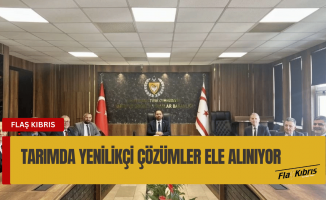 Bakan Çavuş, KKTC İTÜ yetkilileriyle görüştü
