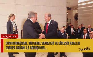 Cumhurbaşkanı, BM Genel Sekreteri ve Birleşik Krallık Avrupa Bakanı ile görüşüyor