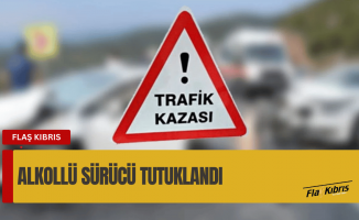 Direksiyon hakimiyetini kaybetti, elektrik direğine çarptı