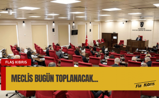 Meclis denetim göreviyle toplanacak