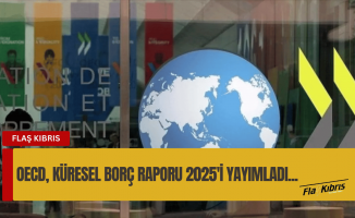 OECD: Küresel borç piyasaları zorlu bir görünümle karşı karşıya