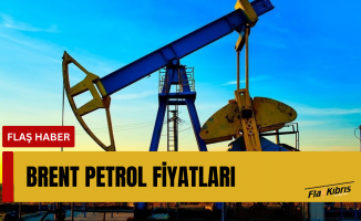 Petrol ABD stoklarındaki düşüşle yükseliyor