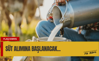 Vadili Süt Toplama Merkezi çarşamba günü süt alımına başlayacak