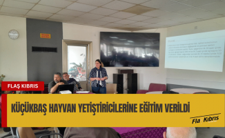 Vadili’de küçükbaş hayvan yetiştiricilerine eğitim verildi