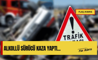 Alkollü sürücü tarlaya uçtu!