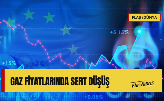 Avrupa'da gaz fiyatlarında sert düşüş