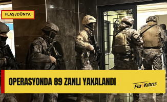 DEAŞ'a yönelik 17 ilde operasyon düzenlendi