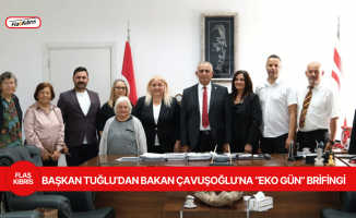 Çavuşoğlu, Tuğlu ve heyetini kabul etti