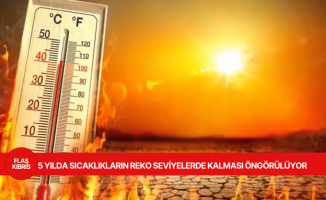 Küresel iklim tahminleri, 5 yılda sıcaklıkların rekor seviyelere ulaşacağını öngörüyor