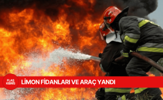 Lefke ve İskele’de yangın
