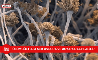 Ölümcül mantar hastalığı, küresel ısınmayla yayılabilir